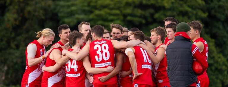 sorrento sharks 1 768x293